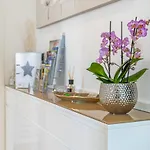 Euphoria Luxury Apartment