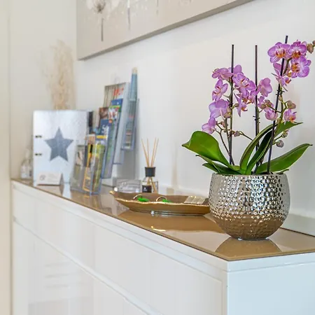 Euphoria Luxury Apartman